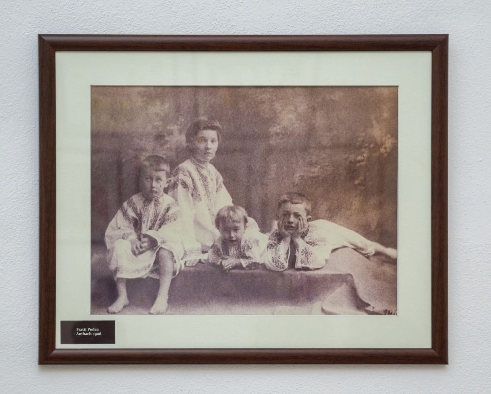 Ionel Perlea, din Ograda natală spre simfonia lumii 176451