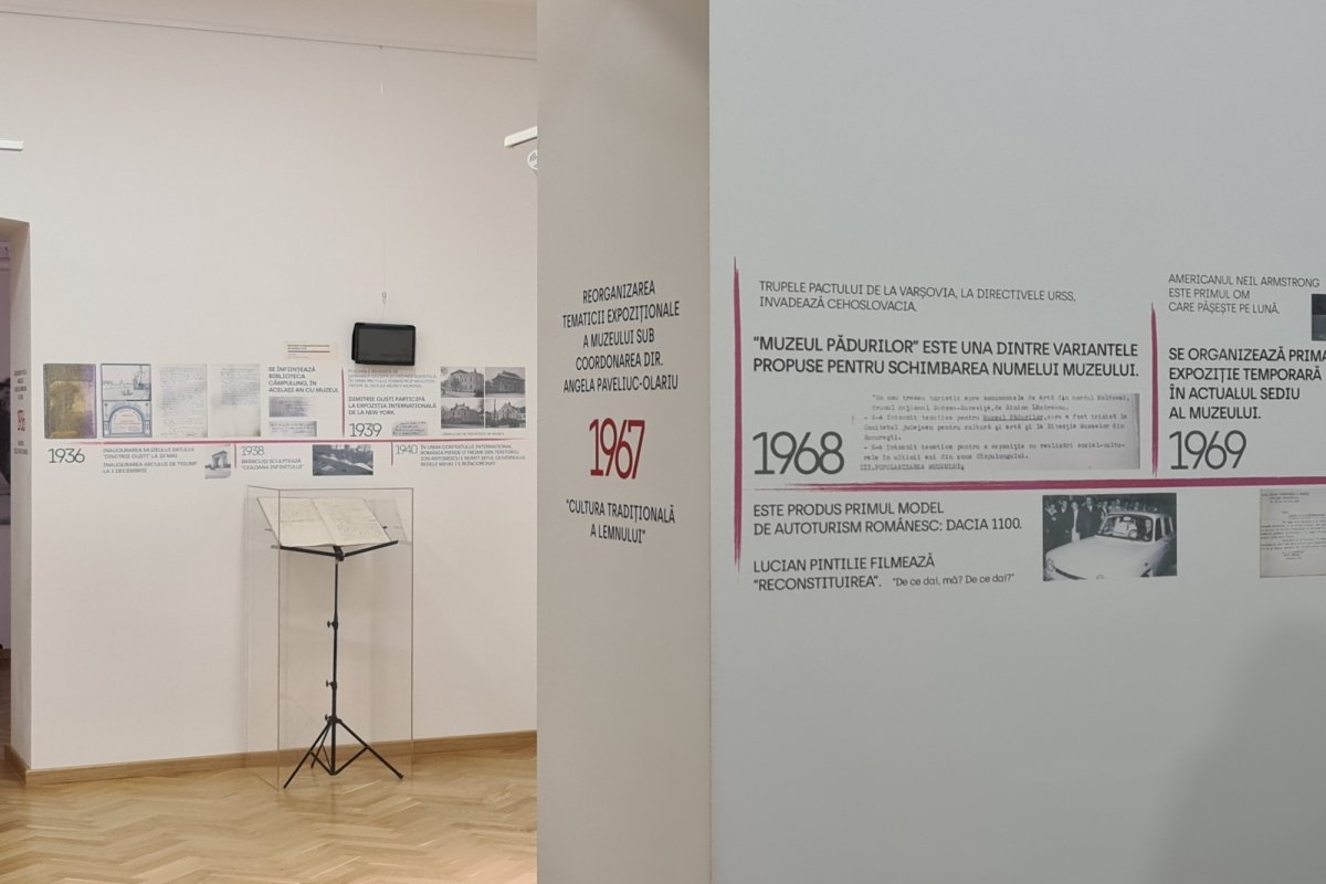 La Câmpulung Moldovenesc, lemnul își spune poveștile într-un muzeu înnoit 176146