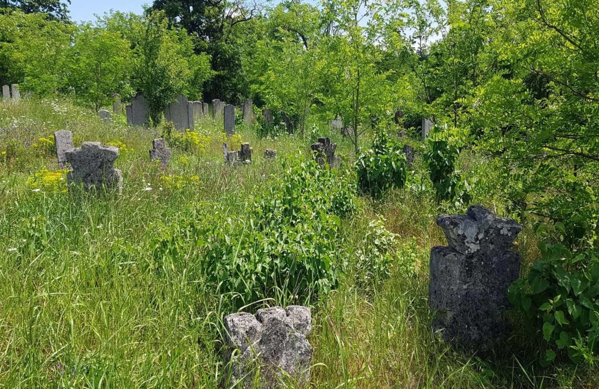 „Morminţii părăsiţi” ai Timocului 176106