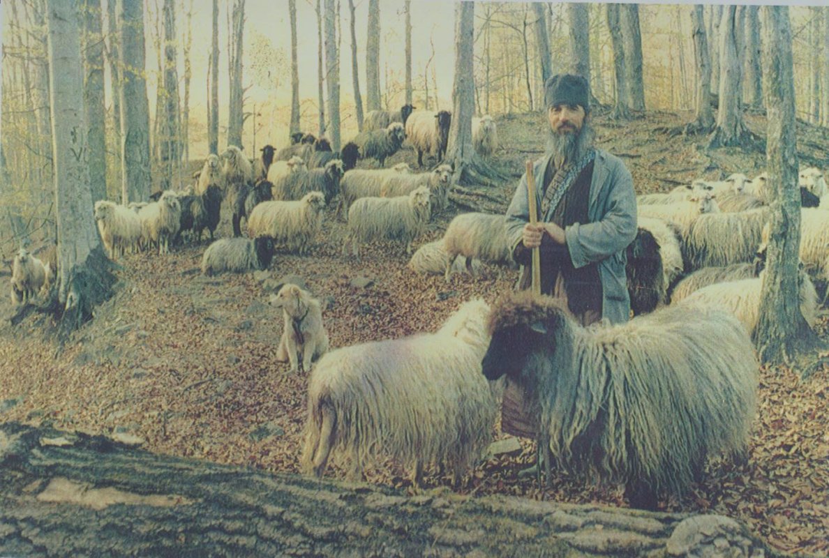 A trecut la Domnul părintele Gherasim de la Mănăstirea Sihăstria 177119