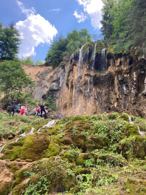 Tabără pentru copii și tineri din Eparhia Alba Iuliei 177286