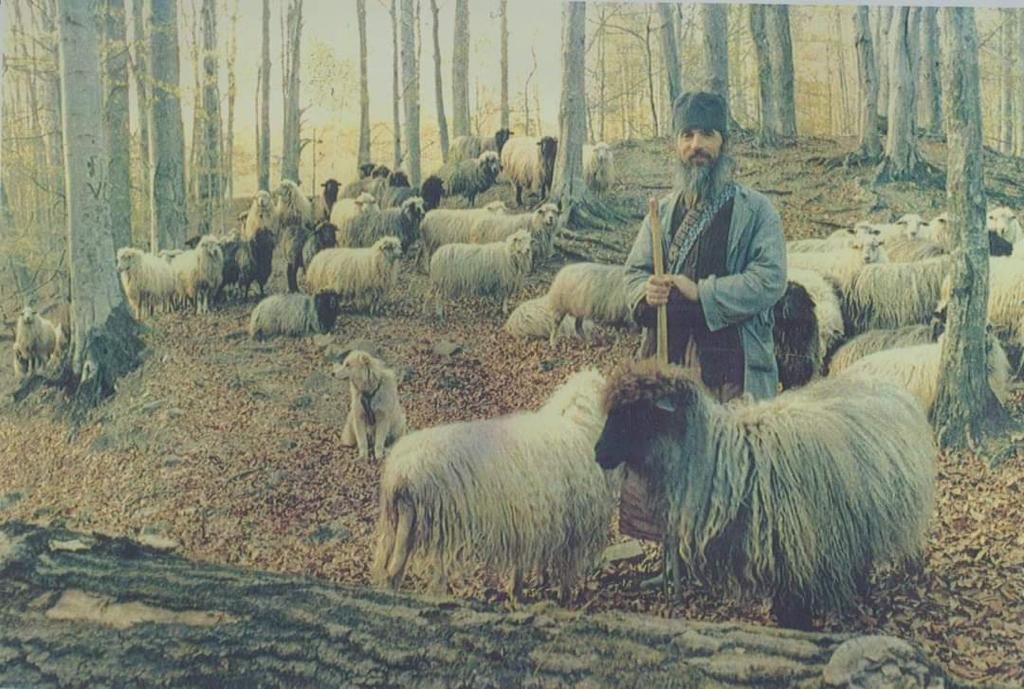 „Monahul Gherasim a fost părintele bătrânilor şi al bolnavilor” 177386