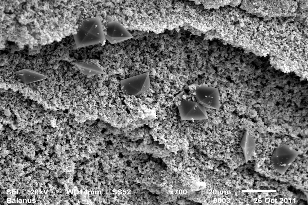 O viaţă de cercetare în slujba studierii Pământului 177017