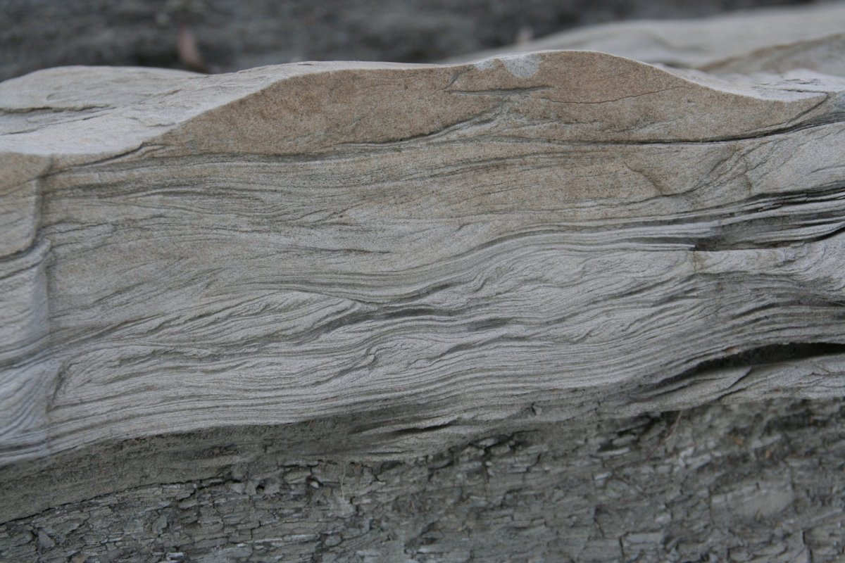 O viaţă de cercetare în slujba studierii Pământului 177018