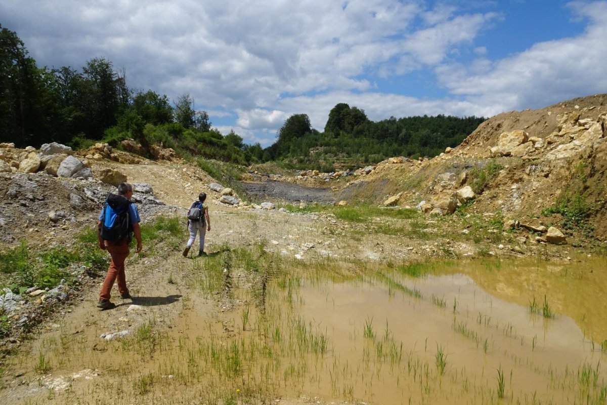 O viaţă de cercetare în slujba studierii Pământului 177019