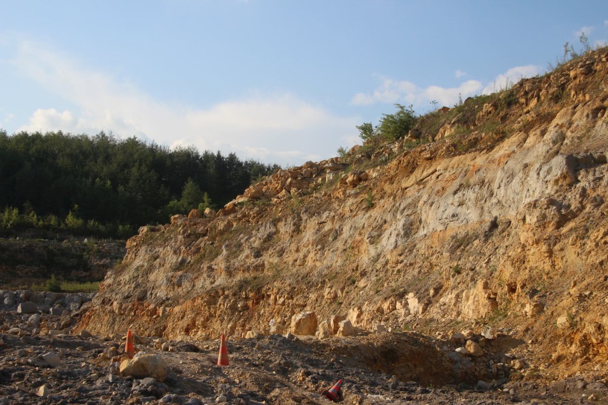 O viaţă de cercetare în slujba studierii Pământului 177034