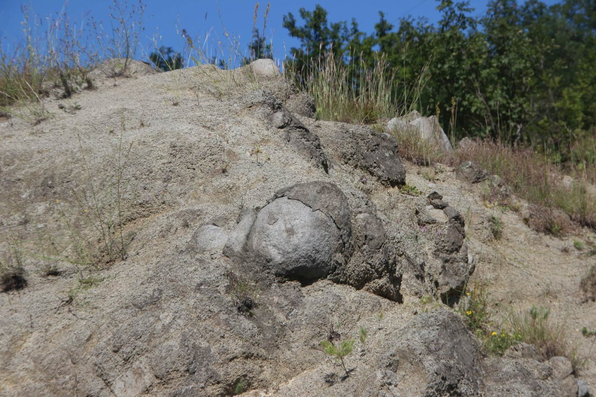 O viaţă de cercetare în slujba studierii Pământului 177036