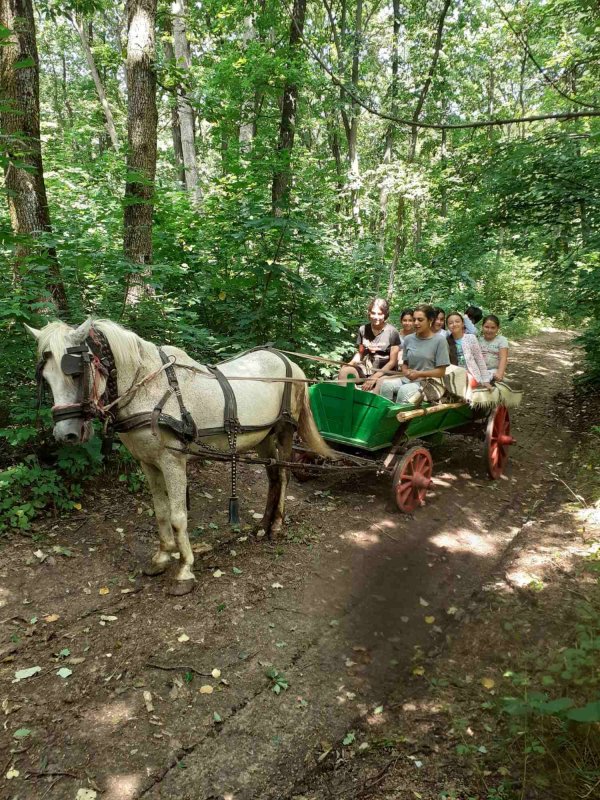 Taberele bisericești - bucuria comuniunii tinerilor 178531