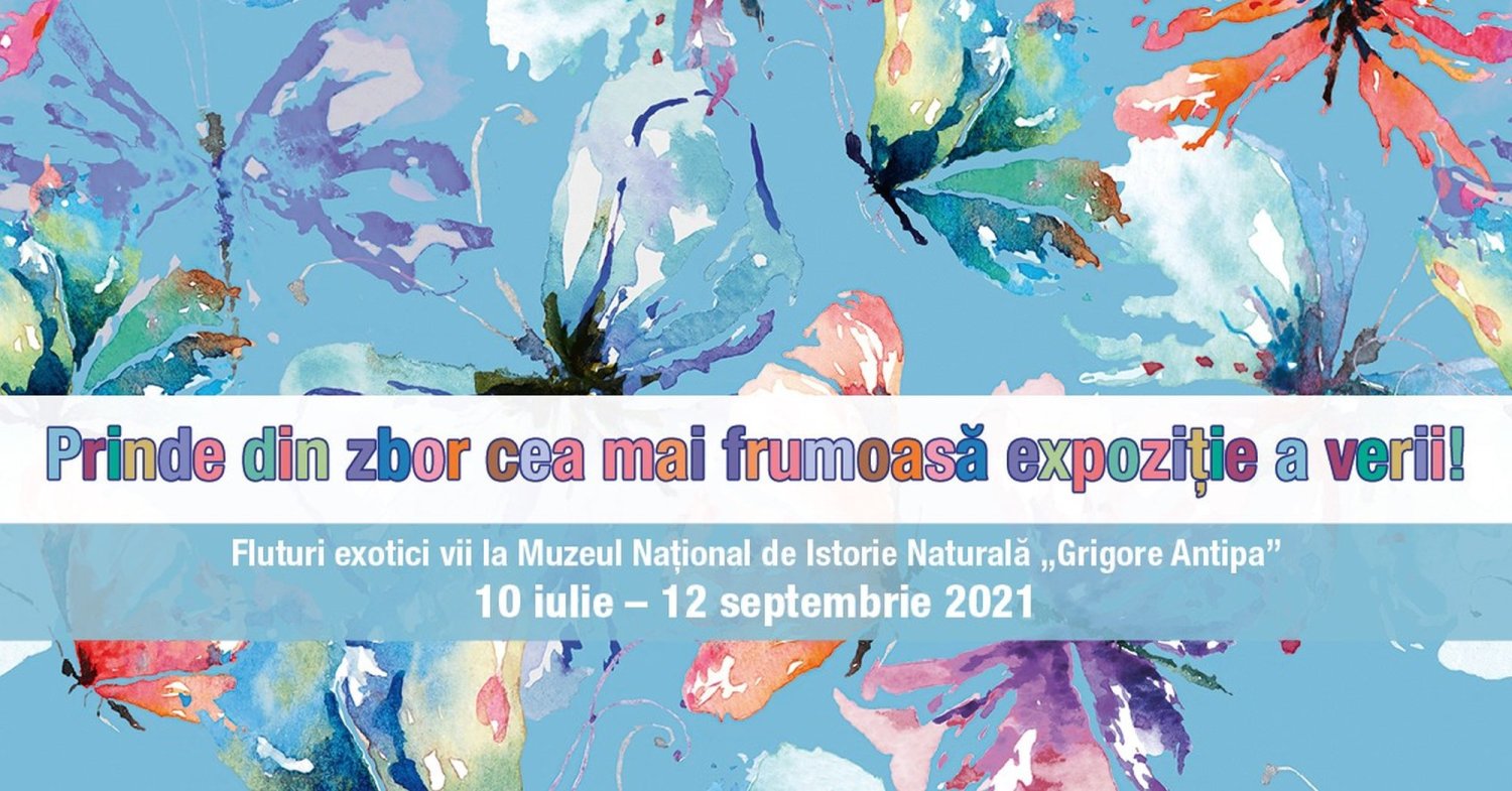 Expoziție de fluturi vii 178972