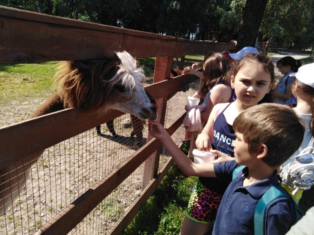 Tabere de vară pentru copii în Arhiepiscopia Alba Iuliei 179053