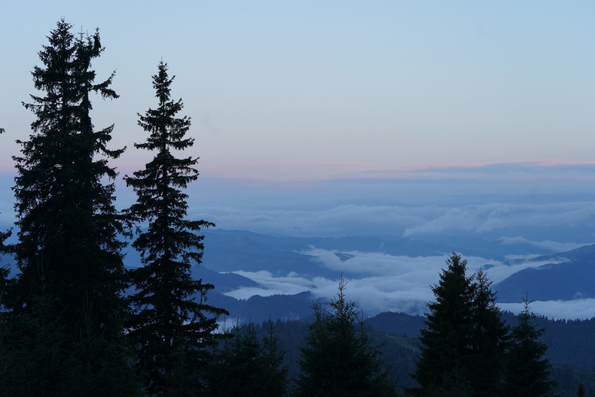 Pelerinaj al credincioșilor pe muntele Ceahlău 179290