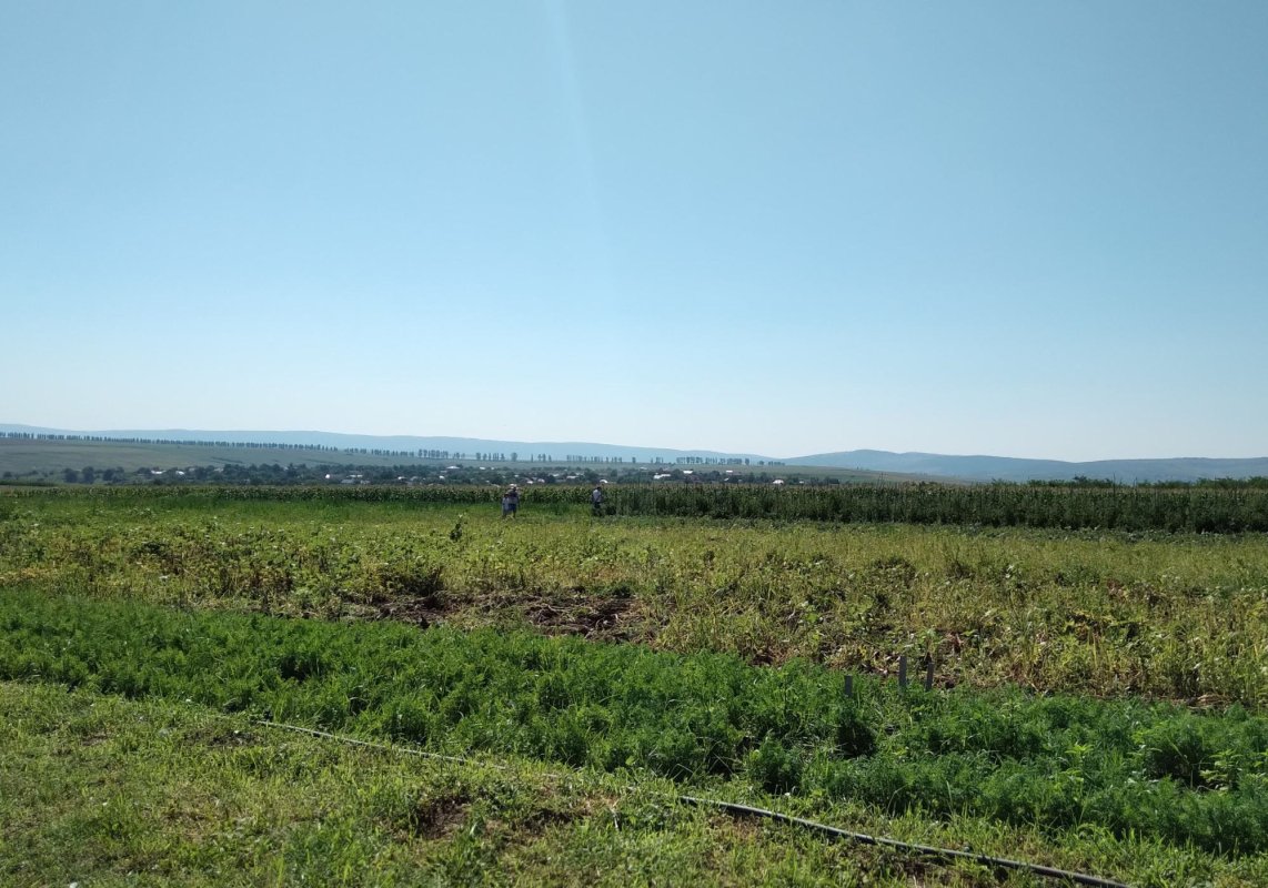 Fermierii europeni vor primi plăţi mai mari în avans 179679