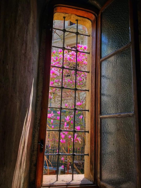 Un alt portret al României - Biserica Doamnei 181018