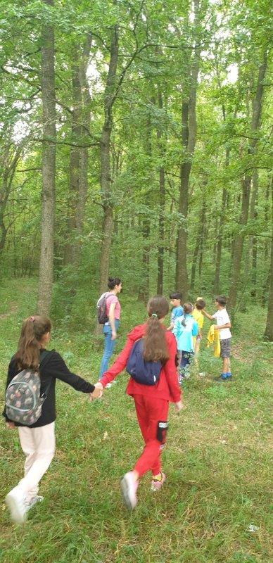 Activități recreative pentru copii la parohia prahoveană Apostolache 181576