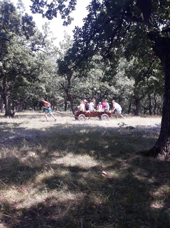 Plimbare și jocuri pentru copiii din localitatea gălățeană Suceveni 181570