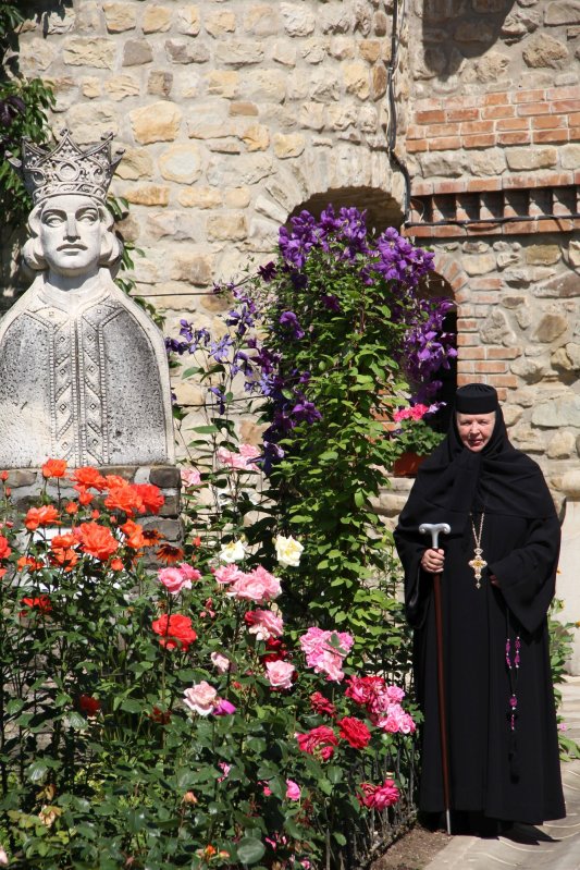 Zidurile Moldoviței, o frescă în tușe de lumină 181558