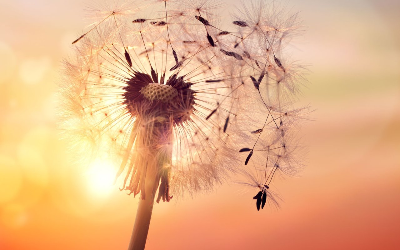 Despre vulnerabilitate  182485