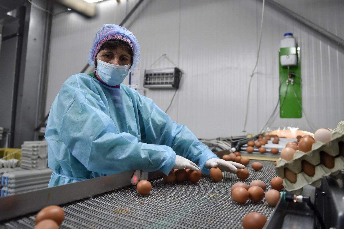 Rata șomajului, sub media europeană 182656