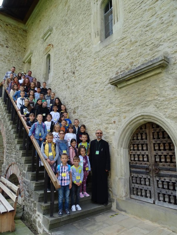 Aducerea la templu 184011