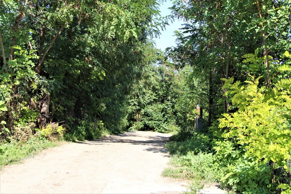 În liniștea casei din Avrămeni a unei campioane olimpice 185109