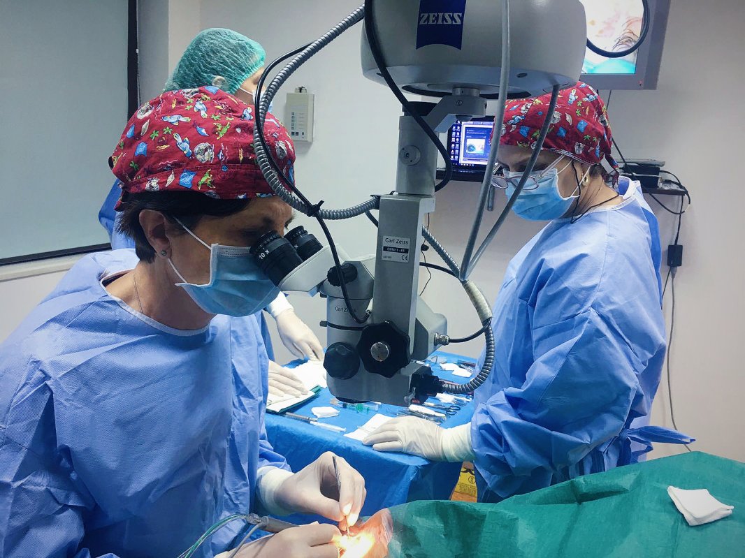 Singurul tratament împotriva cataractei 185140