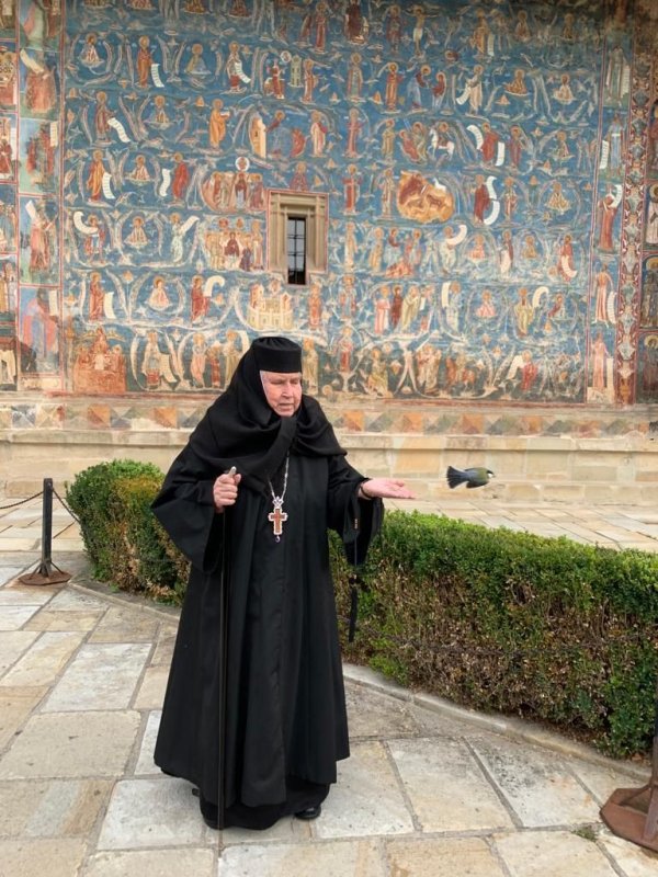 Mănăstirea Voroneț sau frânturi din istoria marilor zidiri 185812