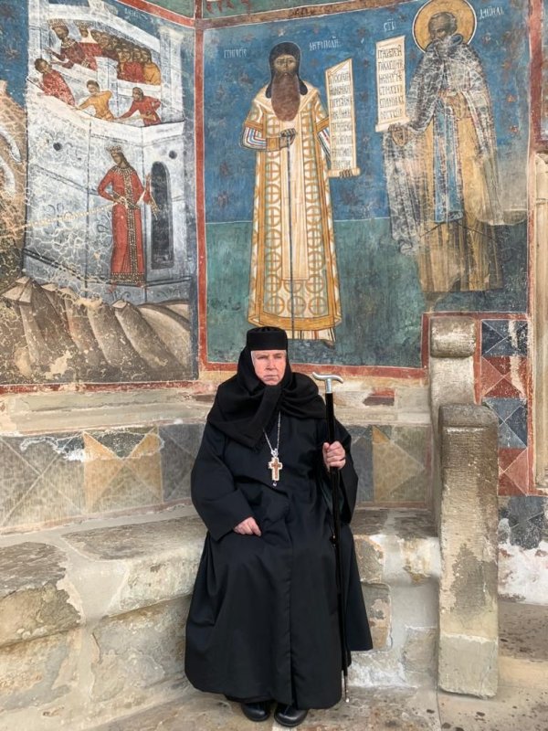 Mănăstirea Voroneț sau frânturi din istoria marilor zidiri 185813