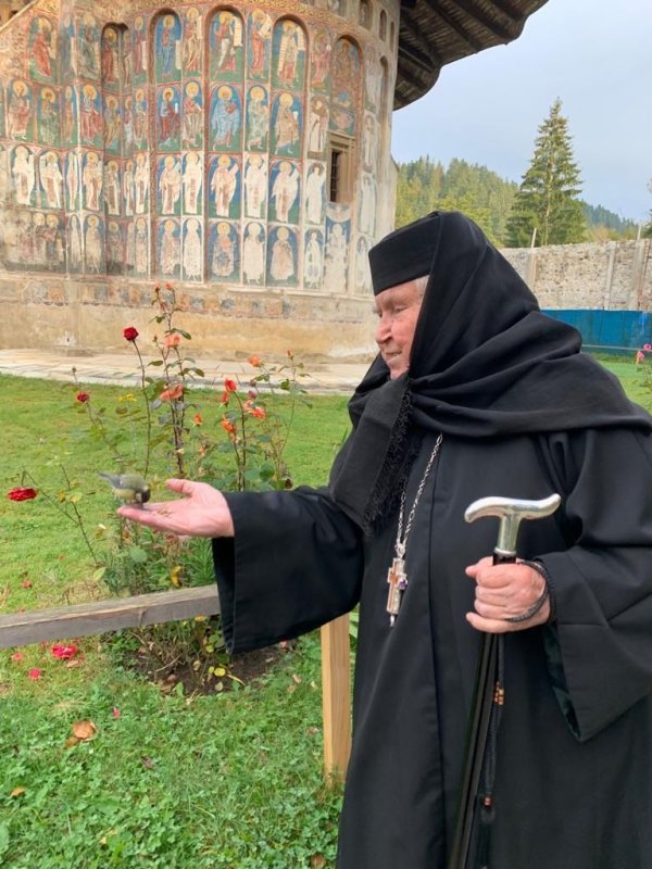 Mănăstirea Voroneț sau frânturi din istoria marilor zidiri 185815