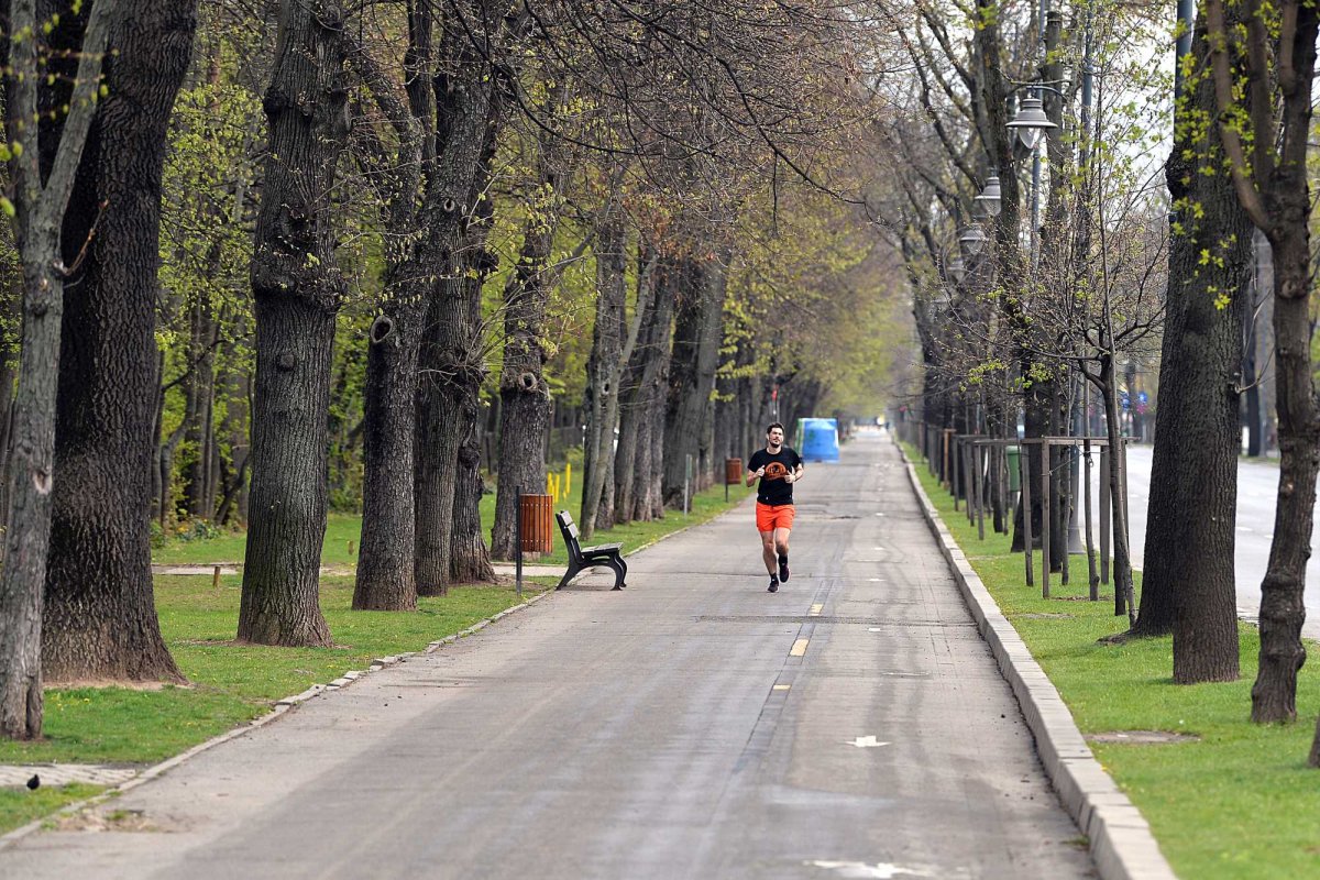 Sporturi preferate de brașoveni 186088