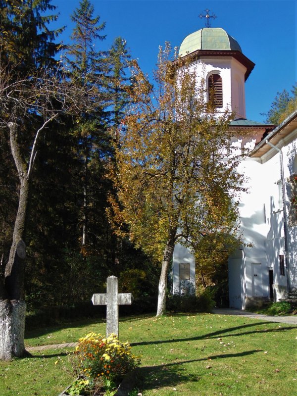 Sihăstria Mănăstirii Turnu sub harul Cuvioșilor Daniil și Misail 186903