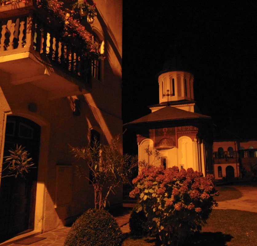 Sihăstria Mănăstirii Turnu sub harul Cuvioșilor Daniil și Misail 186908