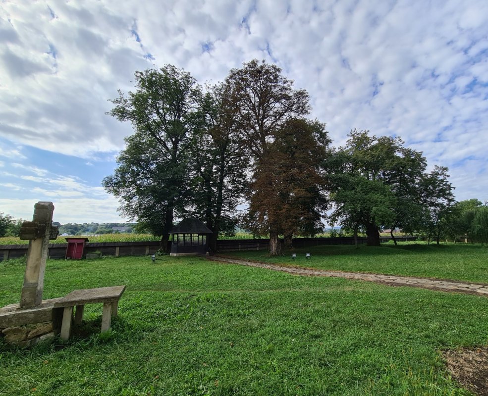 Biserica Arbore, o fidelă cronică a epocii din care vine 187203