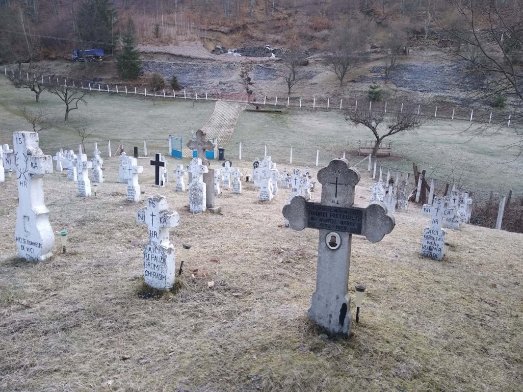 Mănăstirea Frăsinei, darul Maicii Domnului 189426