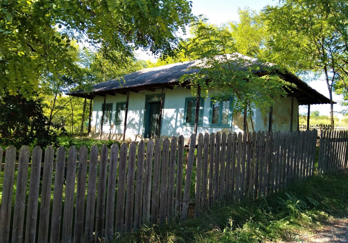 „Mai trăiesc şi pe aici oameni” 191321