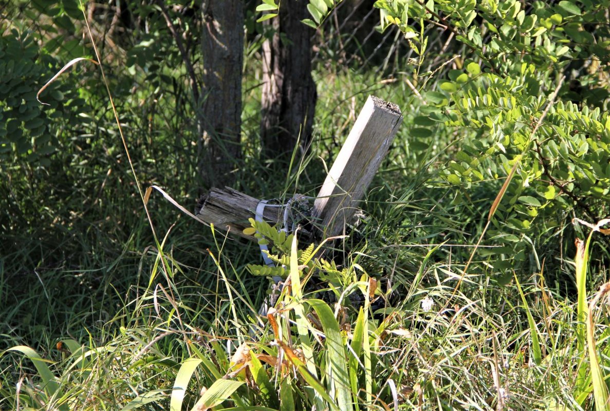 „Mai trăiesc şi pe aici oameni” 191325