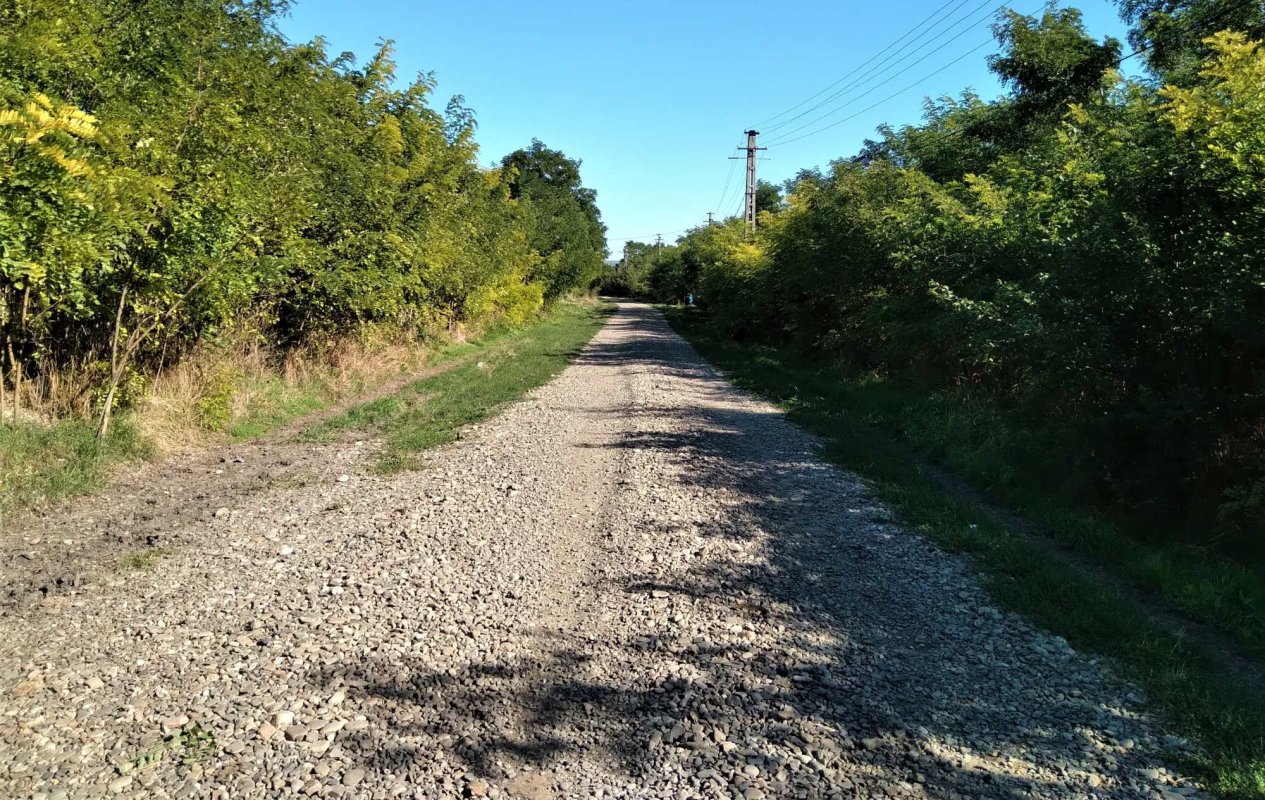 „Mai trăiesc şi pe aici oameni” 191331