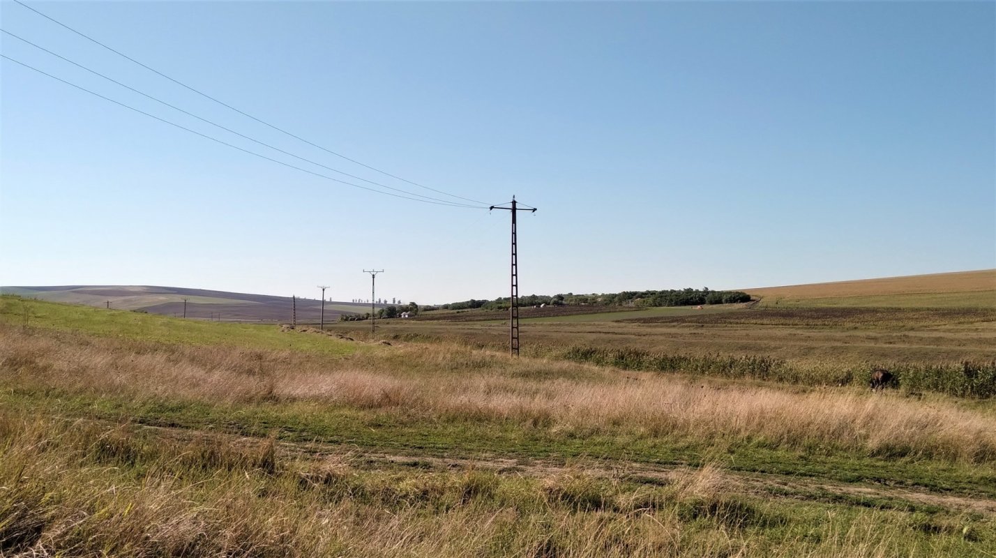 „Mai trăiesc şi pe aici oameni” 191333