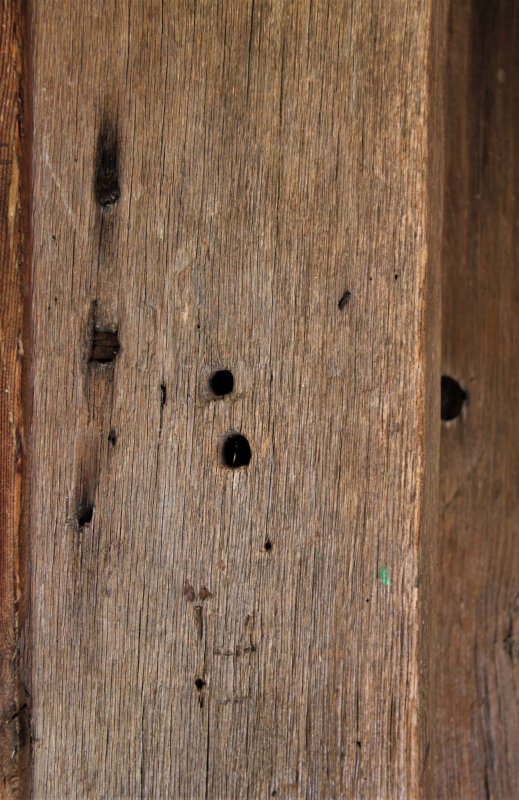 „Mai trăiesc şi pe aici oameni” 191344