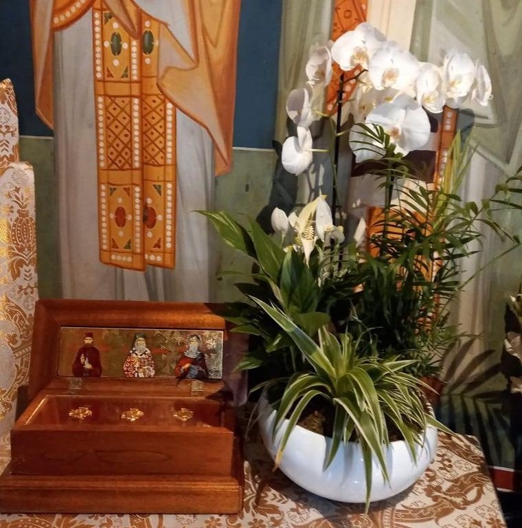 Chemarea şi lucrarea sfinților tămăduitori, încredințarea şi nădejdea românilor de pretutindeni 192062