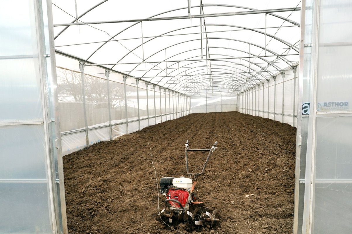 Cel mai dificil an de după 1989 pentru fermieri 192447