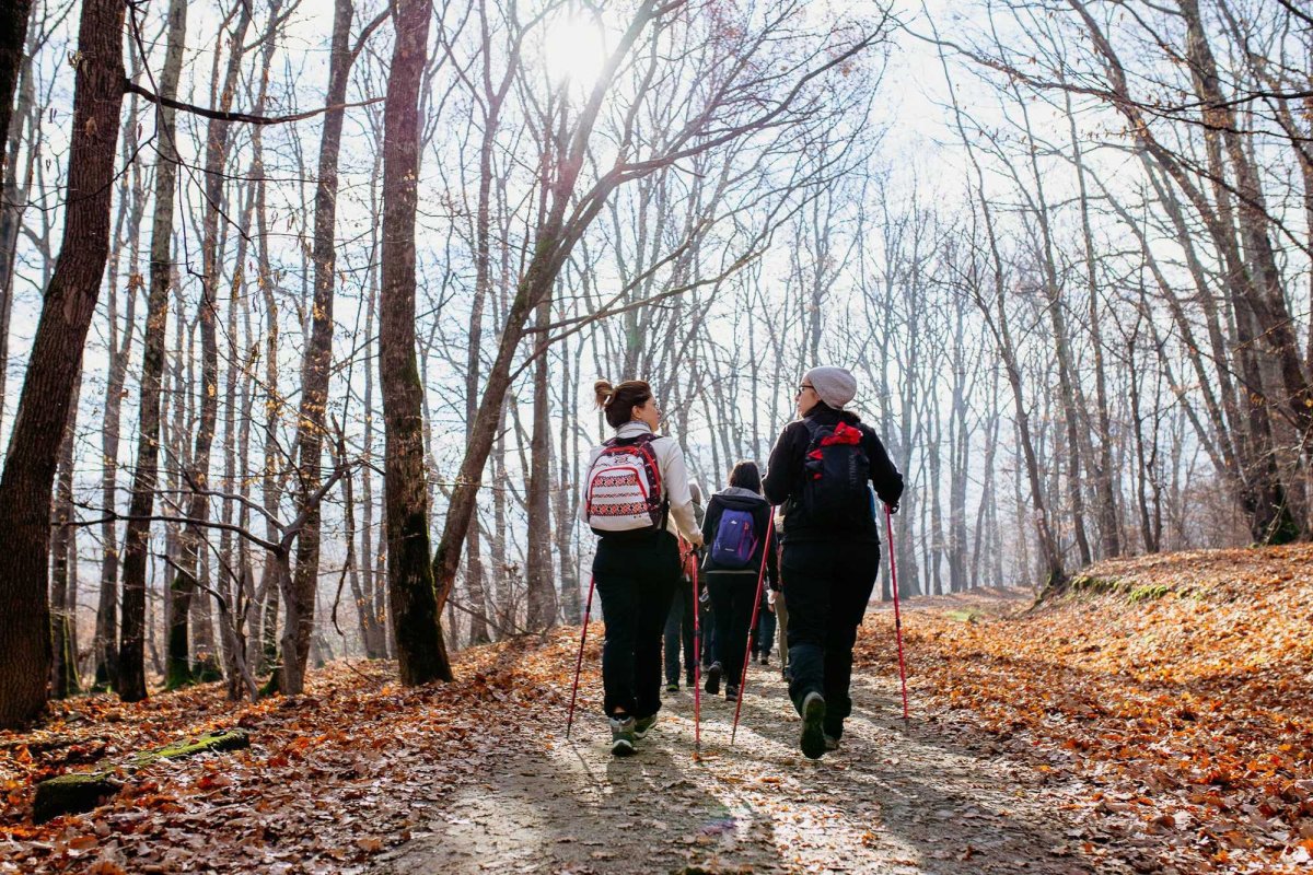 Târg de ecoturism la Sibiu 193060