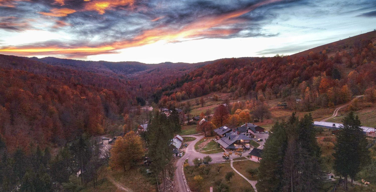 Mănăstirea Sihăstria îi pomenește mâine pe cei trei mari duhovnici pe care i-a dat României 195057