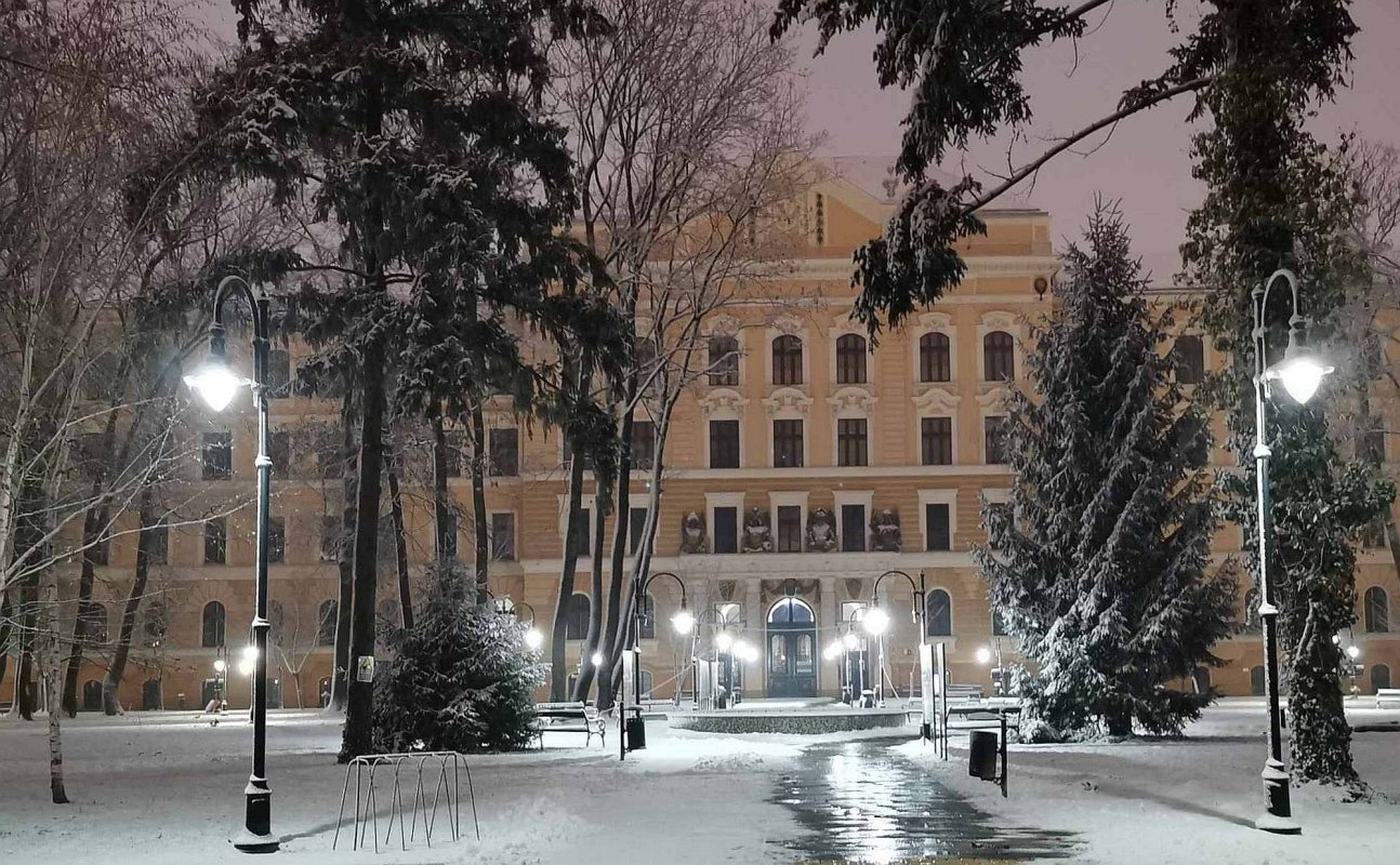 Lecţii la muzeu 195876