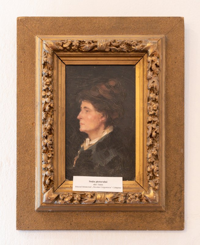 „Bordeiul” boieresc al lui Nicolae Grigorescu 195963