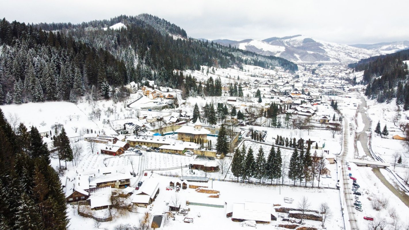 Sfântul Daniil Sihastrul cinstit la Mănăstirea Voroneț 197403