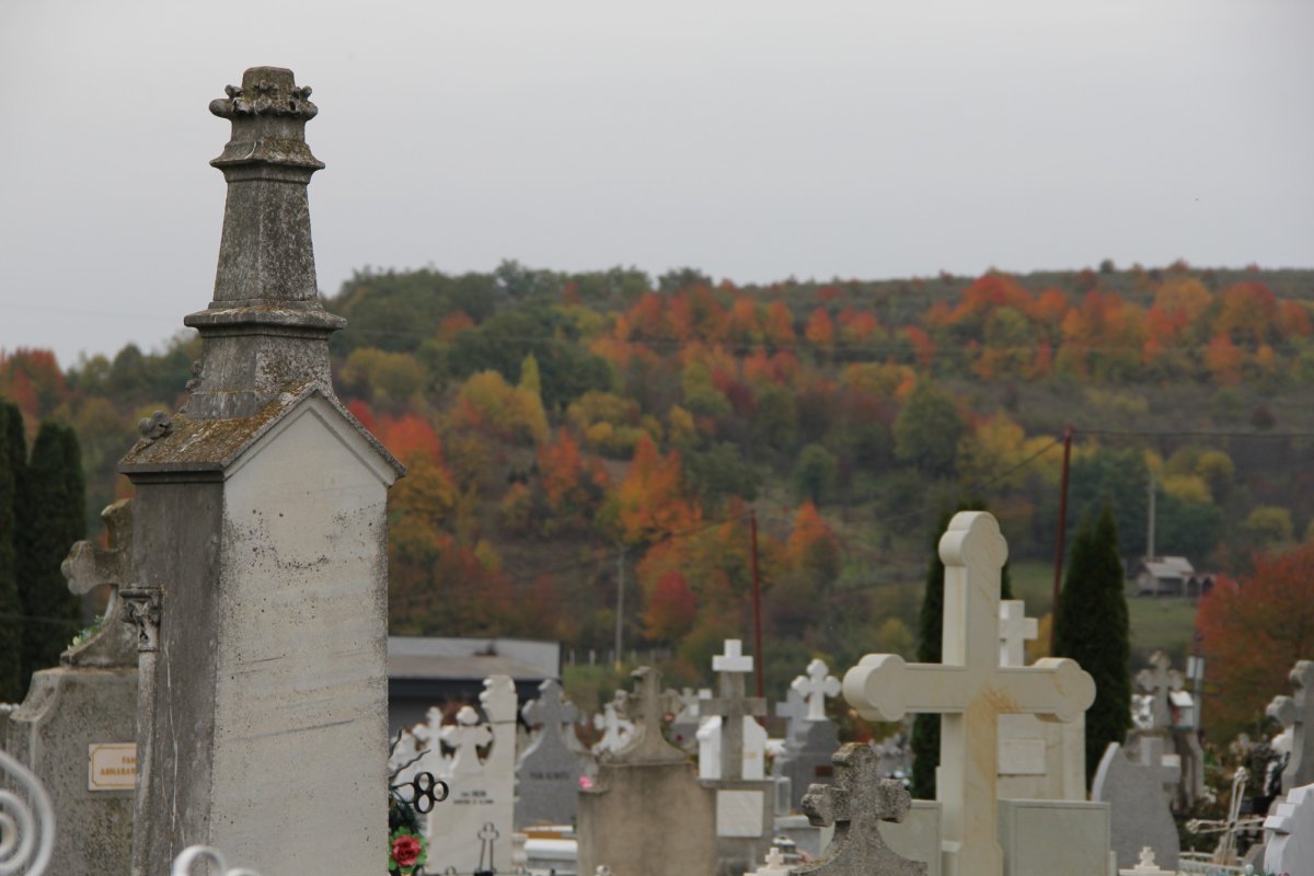 Cimitirul Grădini din Fălticeni, locul de odihnă al Lovineștilor 197589