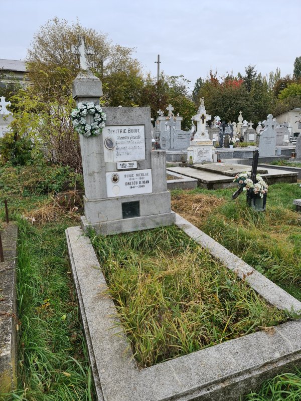 Cimitirul Grădini din Fălticeni, locul de odihnă al Lovineștilor 197592