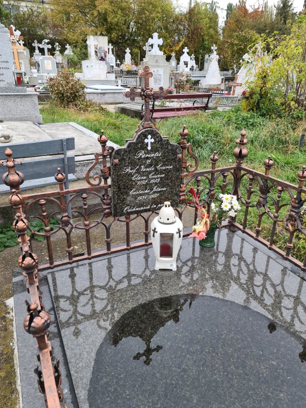 Cimitirul Grădini din Fălticeni, locul de odihnă al Lovineștilor 197594