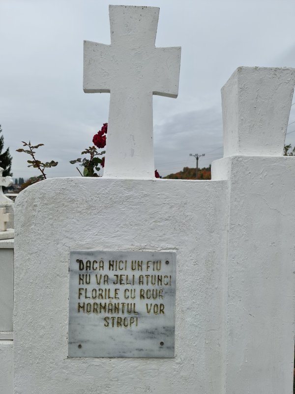 Cimitirul Grădini din Fălticeni, locul de odihnă al Lovineștilor 197595