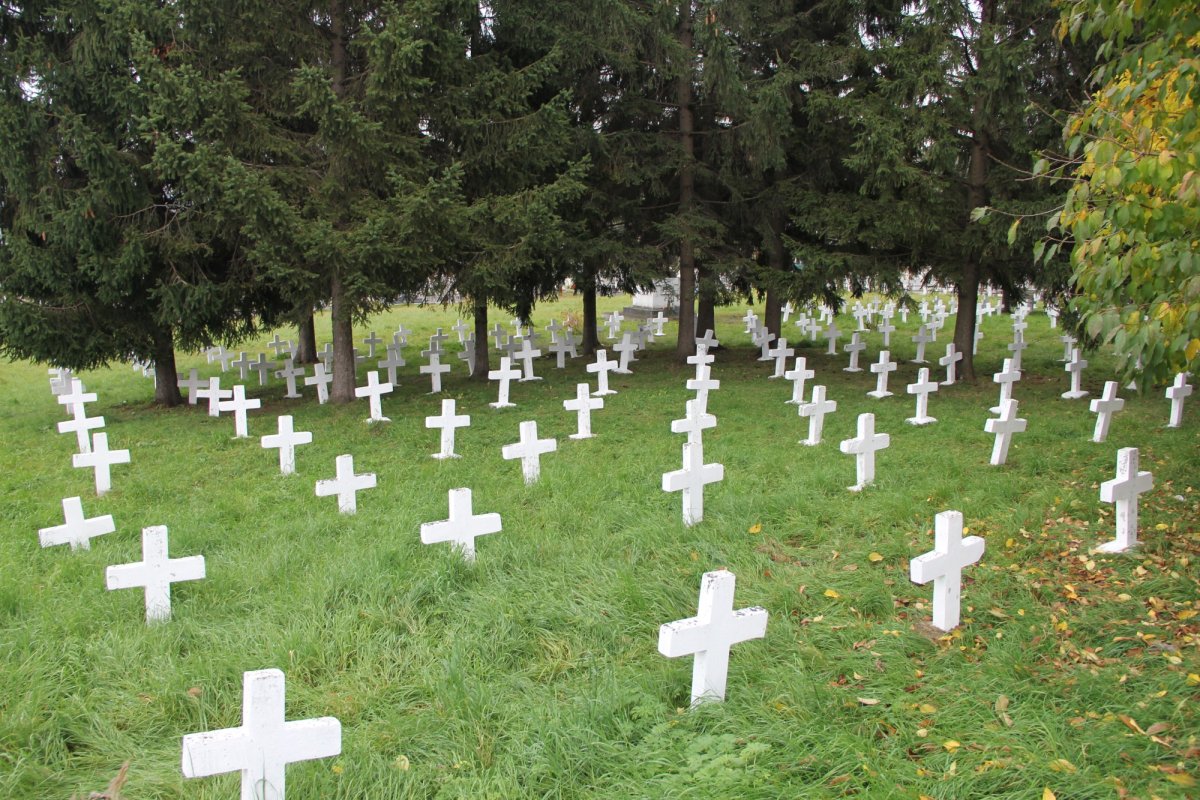 Cimitirul Grădini din Fălticeni, locul de odihnă al Lovineștilor 197598